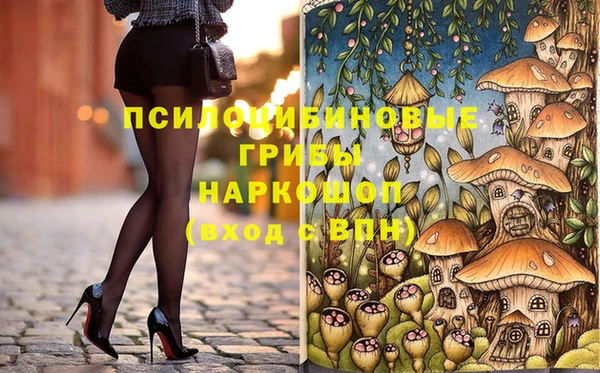 амф Вязьма