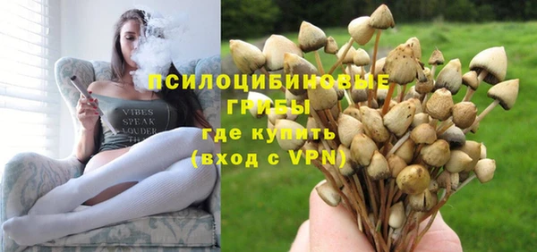 амф Вязьма