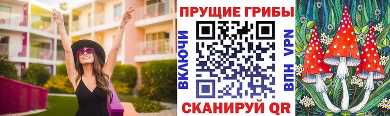 закладка  Пересвет  Псилоцибиновые грибы Cubensis 